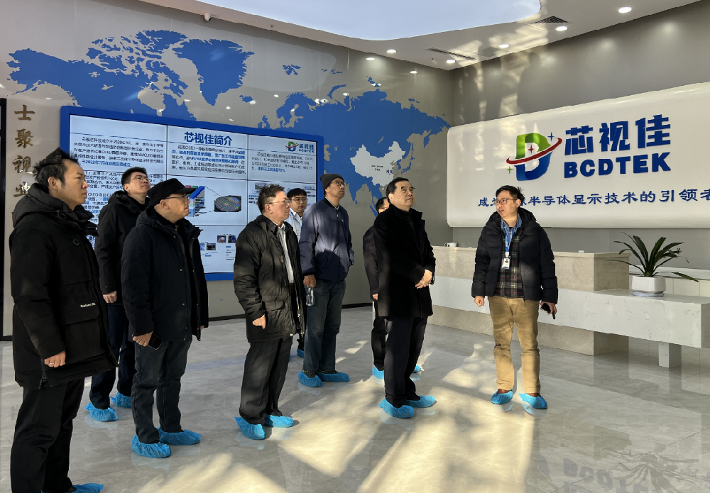 “美好安徽智匯行”走進淮南—調研芯視佳產學研項目發展情況