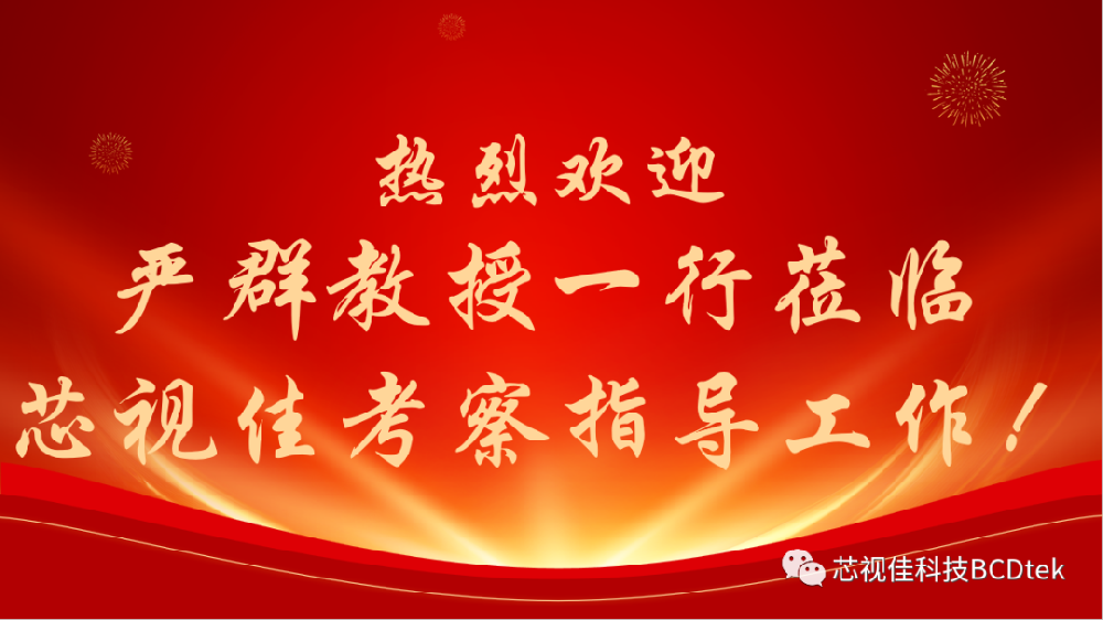 嚴(yán)群教授一行蒞臨深圳市芯視佳半導(dǎo)體科技有限公司考察并指導(dǎo)工作！